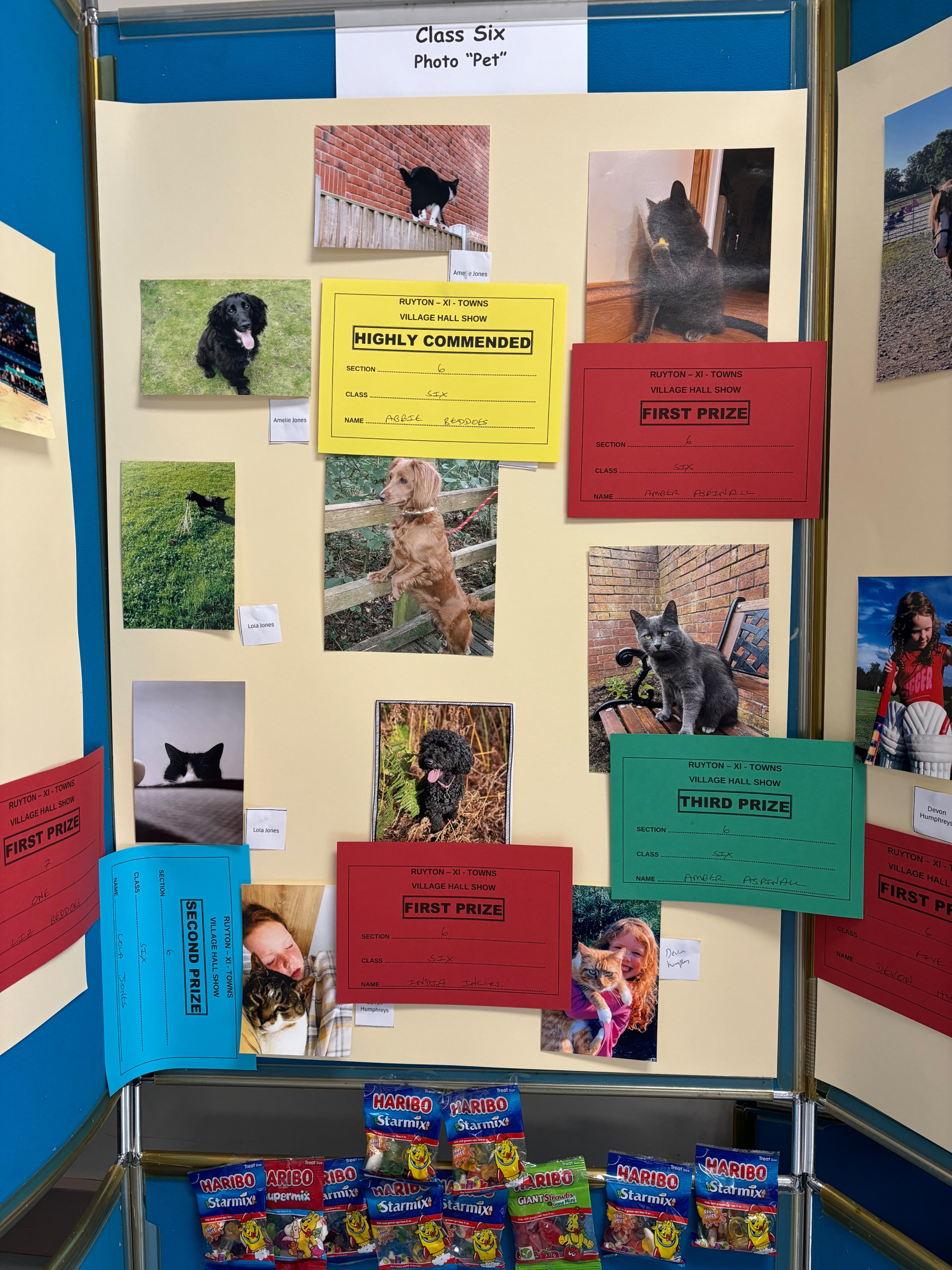 Village Hall Show 24